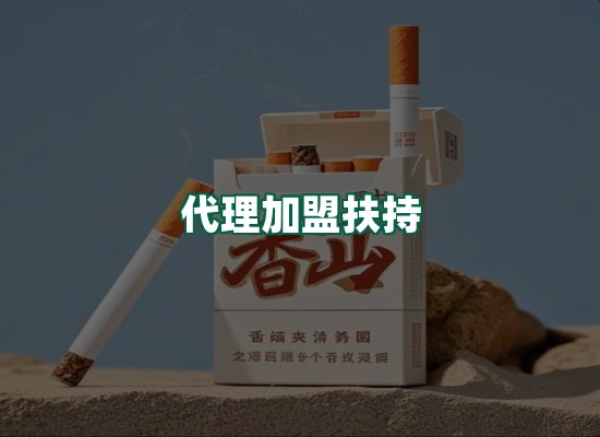 核心优势